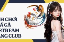 Đá Gà Livestream Choáng Club – Mẹo chơi thắng lớn từ cao thủ